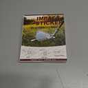 2 x Golf Impact Tape Clear Golf Club Stickers for Accurate Ball Striking Sticky Golf Pro Club Sweet Spot Analysis Improves Skills Quality Training Aid for Golf Beginners and Fans (Qty: 60P)