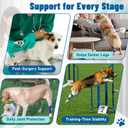 Dog Leg Braces for Back & Front Legs- Dog Hock & Ankle Joint Brace for Weak Back Legs with 2 Metal Strips, Reflective Trim for Sprain, Injury, Arthritis, Wound Recovery,Blue,S