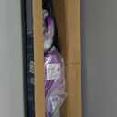 Bissell Featherweight Stick Lightweight Bagless Vacuum with Crevice Tool, 20334