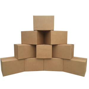 10 Pack Medium Cardboard 
