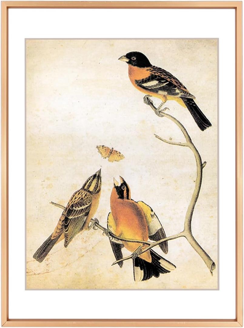 8x11 Picture Frame, Gold Aluminum Metal Photo Frames with HD Glass, Fits 7x9 with Mat or 8 x 11 without Mat, Display for Wall and Table