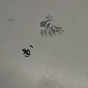 2.25mm Dog Training Collar Links- Chrome Plated Steel Links for Dogs, Silver, Collar Links for Effective Training