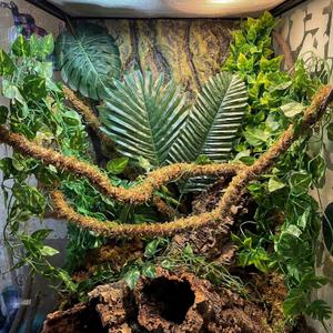 39 Pcs Reptile Vines for Climbing Jungle Theme Party Decorations Natural Moss Rope Artificial Rattans Tropical Palm Leaves Ivy Fake Vines for Dragon Chameleon Snake Gecko Accessories