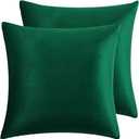 RainRoad Dark Green Throw Pillows Covers Set of 2 Soft Velvet Decorative Pillow Covers 20x20 Inch for Couch Bed (Dark Green, 20" x 20"(Pack of 2))