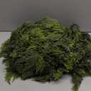 Waydress 1 Pcs 9ft Christmas Cedar Garland Artificial Realistic Soft and Thickness Green Faux Cedar Pine Garland for Home Fireplace Indoor Outdoor Holiday Party Decoration