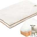 YOUR MOON Soft Organic Wool Pillow Queen, Flat & Thin Wool Pillow for Sleeping, Low-Loft Bed Pillows for Back and Stomach Sleepers, Breathable Soft Cotton Cover(Off White) (Queen (Pack of 1))