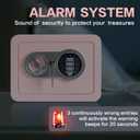 0.23 Cubic Feet Safe Box, Small Safe W/Fireproof Bag, Keys & Pass Code, Digital Electronic Security Money Box for Cash, Document, Home, Office, Hotel Use, Pink, 6.69"D x 9.06"W x 6.69"H