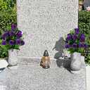 Artificial Cemetery Flowers, Grave Memorial Flowers, Set of 2 Artificial Rose Bouquet with Vase for Cemetery Headstones Gravesites Decoration (Purple)
