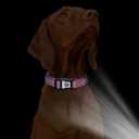 WhoseID Reflective Dog Collar with AirTag Holder,Adjustable Dog Collar with Neoprene Padded & Anti-Lost QR Code Buckle (Rose, Large)