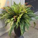 CQURE 50" Large Fake Fern Artificial Ferns for Outdoors,96 Fronds Realistic Artificial Boston Ferns Bush Plant for Indoor Garden Porch Decor (Lifelike,UV Resistant,No Maintenance)
