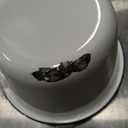 Maxdot Set of 6 Enamelware Popcorn Bowl 1.2 Quart Reusable Popcorn Serving Bowls Buckets Containers for Family Cinema Nights and Camping Party Shatterproof Classic White with Black Rim