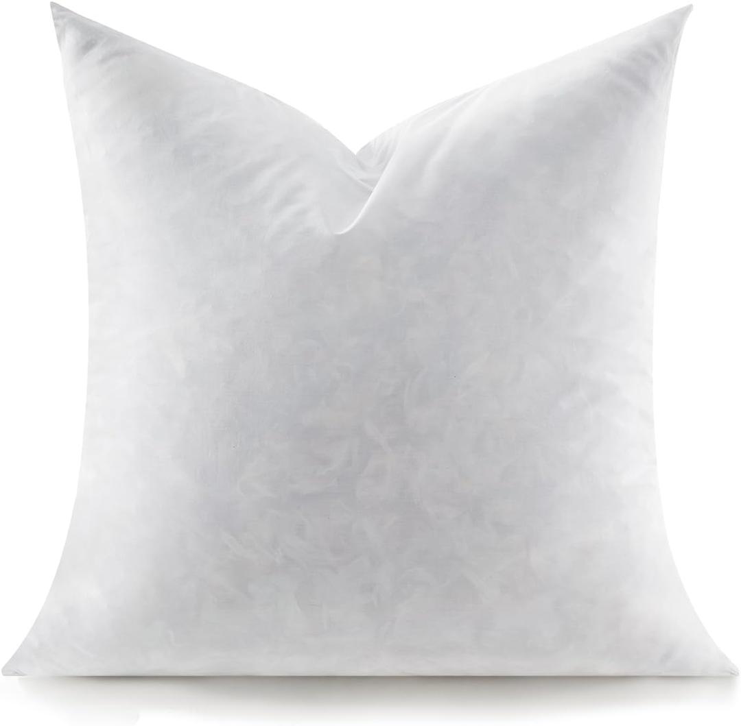 Feather Throw Pillow Insert, Soft Fluffy Square 20 x 20 Inches Decorative Pillow Insert, Feather and Down Euro Pillows for Bed, Couch and Cushion
