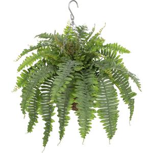 Hollyone 25" Artificial Boston Fern Hanging Basket 31 Leaves Fake Ferns in Rattan Pot Medium Greenery Plants for Outdoors & Indoor Faux Fern Bush Basket Plant Patio Garden Home Decor Dusty Green