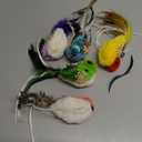 5 x Cat Feather Toys Refill, 5 Pieces Cat Wand Attachments Feathers Bird Toy for Indoor Cats
