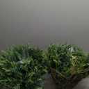 QIANYUN Artificial Hanging Boston Ferns  2 Pack Large Faux Fern Bushes, UV Resistant Outdoor Hanging Plants for Front Porch, Patio, and Indoor Dcor (Green)