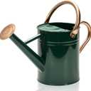 Metal Watering Can with Removable Spout, Galvanized Watering Can, Perfect for Indoor Use and for Outdoor Use (1 Gallaon, Green)