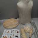 Child Mannequin, Adjustable Kids Toddler for Apparel Scarf Window Shop Display, 23 Years Old