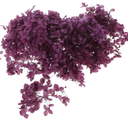 DIY Dried Flower Set Hydrangea Eternal Flower Box Wedding Decoration Lightweight Beautiful