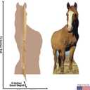 Cardboard People Horse Life Size Cardboard Cutout Standup, One Size
