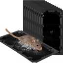 10 Pack Sticky Mouse Trap Rat Trap Indoor, Peanut Taste Pheromone Mouse Traps Indoor for Home, Glue Sticky Traps for Mice and Rats, Snake (Large Size)