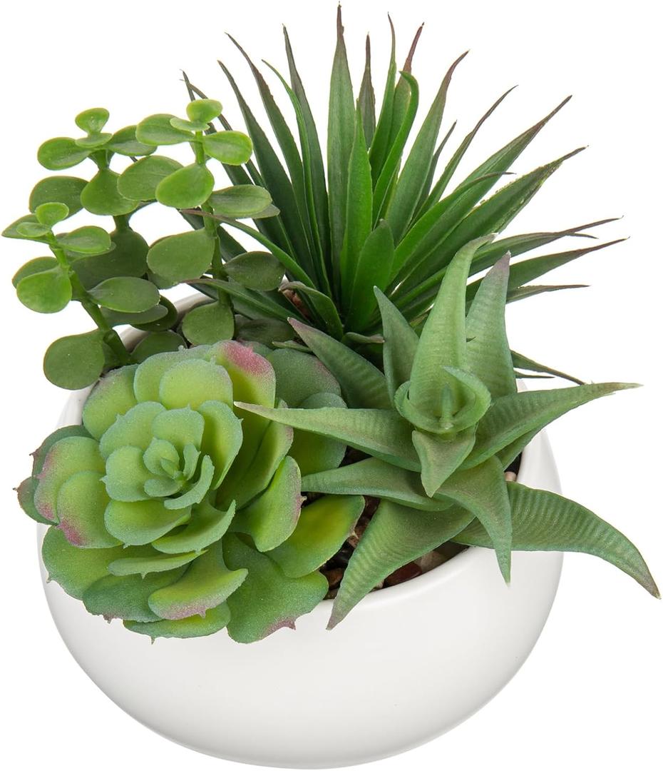 Hollyone Fake Plants Artificial Succulents in Pots Faux Succulent Arrangement Potted Plant with White Ceramic Pot for Home Decor Modern Office Desk Bathroom Shelf Living Room Indoor Decoration