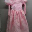 Rubies Girl's Wizard of Oz Deluxe Glinda Costume Dress With Crown (Large)