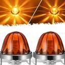 Partsam 2Pcs Amber Glass Lens Watermelon Lights [Patented] LED Side Marker Turn Signal Lights with Stainless Steel Bezel Replacement for Kenworth Peterbilt Freightliner