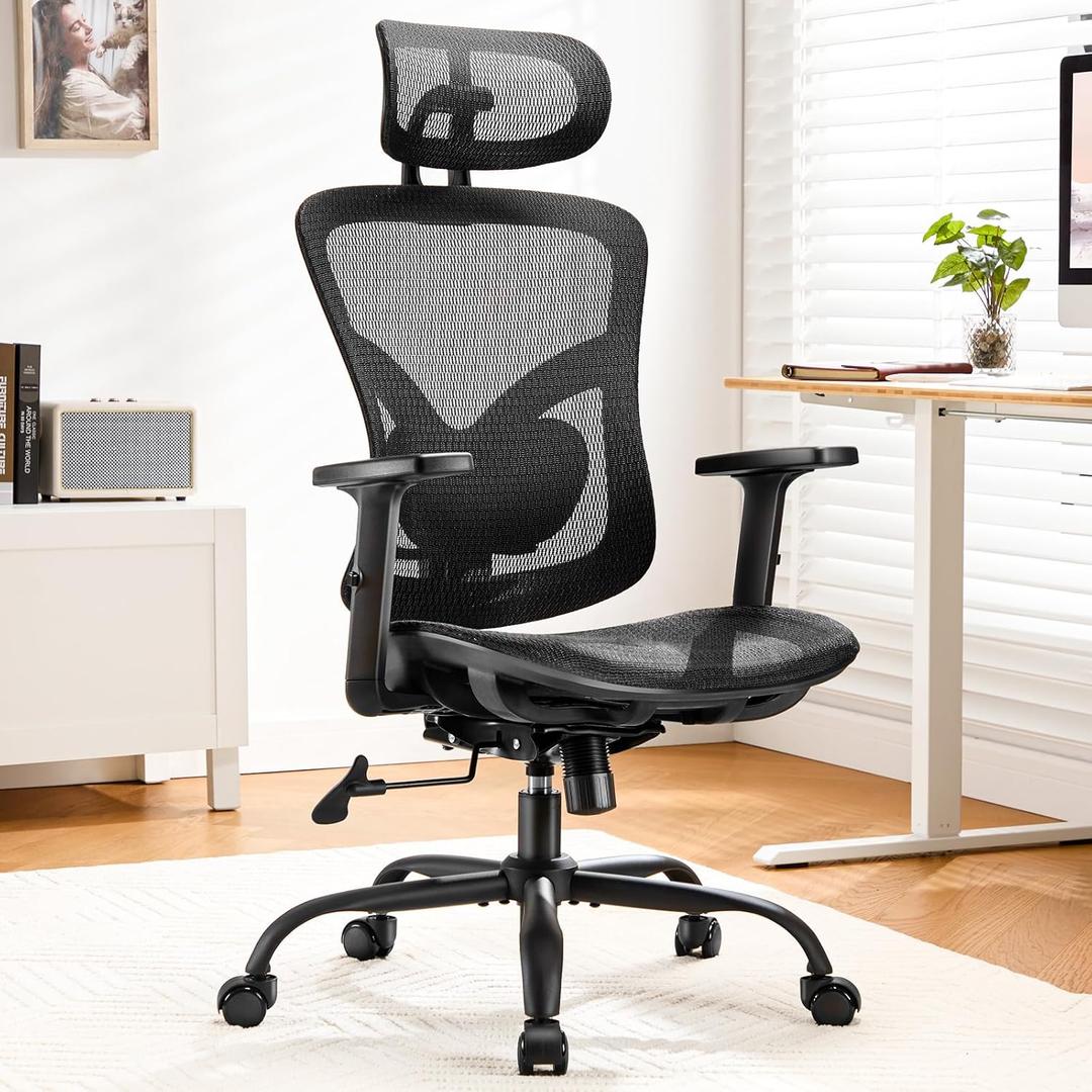 Marsail Ergonomic Mesh Office Chair,Ergonomic Desk Chair with 2D Headrest,Adjustable Lumbar Support & Up and Down Armrest (Ebony)