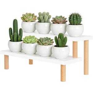 2 Tiered White Table Top Plant Stand, 15mm Thick Wooden Desktop Succulent Stand , Small Window Sill Plant Shelf for Indoor Kitchen,Countertop,Office Desk, Ladder Shelf,Modern,(14.2")
