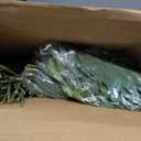 Tigeen 10 Pcs Artificial Palm Leaves Tree 33 Inch Fake Tropical Plant with Stems Large Faux Palm Leaf Bush Greenery for Hawaiian Luau, Jungle Safari, Pool Beach Party, Wedding, Garden, Indoor Outdoor