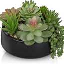 DILATATA Artificial Succulent Plants in Pot 5.5 Inch Fake Succulents Arrangement Potted Plant in Black Ceramic Planter Bowl for Home Office Desk Shelf Living Room Bedroom Bathroom Decor