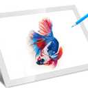 LitEnergy Portable A4 LED Copy Board Light Tracing Box, Silver Ultra-Thin Adjustable USB Power Artcraft LED Trace Light Pad for Tattoo Drawing, Streaming, Sketching, Animation, Stenciling