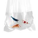 AlfaEx Fishery Bags 4 Inches Leak Proof Rounded Bottom Clear Plastic Fish Bags for Shrimps and Betta Fish Transport. (4" x 10" / 100 Pack / 3 Mil)