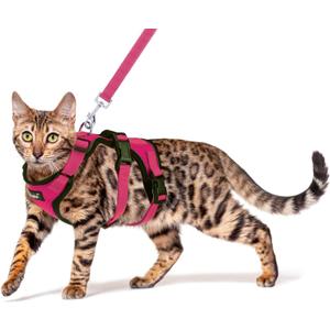 PUPTECK Cat Harness and Leash Set Escape Proof for Walking, Breathable Mash Vest Adjustable Harness for Cats Puppy Small Animals, Reflective at Night, Fuschia Small (S: Neck 9"-11.4", Chest 11"-16.1")