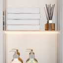 Stainless Steel LED Lights Shower Niche 12"x24" - No Tile Needed Double Shelves Recessed Wall Niche for Bathroom Storage, Brushed, W12" x H24"