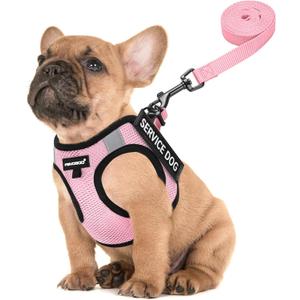 FAYOGOO Service Dog Vest for Small Breed - Lightweight Dog Harness with 6PCS Removable Patches - Puppy Harness and Leash Set for Walking,Training (Pink)