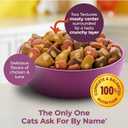 Meow Mix Tender Centers Dry Cat Food with Basted Bites, Chicken & Tuna Flavors, 3 Pound Bag (Case of 4)