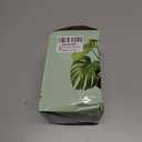 LePe Crushed Fire Glass, Translucent Broken GlassDecorative for Resin Art, Fire Pits, Potted Plants, Garden and Indoor Use, 3-6mm Fire Pit Glass, 1 Pound in Jar(Grey) (Gray)