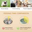 Havniva Ceramic 0.9 Cup Dog Bowl Slow Feeder, 6.1inch Slow Pet Food Dish for Small Dog and Cat, Stop Bloat, Preventing Choking(Single Bowl, Light Green)