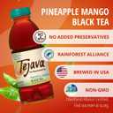 Tejava Pineapple Mango Black Tea, 6 Pack 16.9 oz PET, Unsweetened, Ready-to-Drink Premium Iced Tea (EXP 08/12/26)