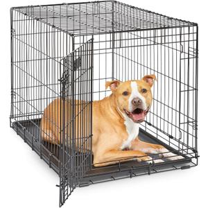 Midwest 36-Inch Single Door iCrate, for Medium-Large Breeds, 41-70 lbs