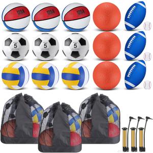 Leyndo 18 Pcs Sport Balls Bulk Set Basketball Football Volleyball Soccer Playground Baseball with Sport Equipment Bag Pump for Youth Adults Outdoor Indoor Practice Gift Back to School, Blue