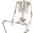 Abakuku 36" Halloween Skeleton Decorations, Human Bones for Halloween Party with Movable Joints, for Haunted Houses, Front Lawn, Graveyard Props