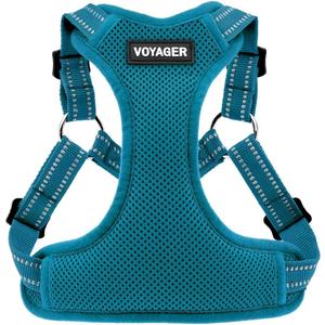 Best Pet Supplies Voyager Adjustable Dog Vest Harness Breathable No Pull Harness for Small, Medium, Large Dogs, Harness for Walking, Jogging, Easy Step-in, Reflective Stripes - Turquoise, L (L (Chest: 20 - 25"), Harness (Turquoise))