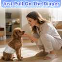 Male Dog Diapers, Dog Diapers Male Disposable with Wetness Indicator, 50 Count, Medium, Super Absorbent Leak-Proof Fit for Male Dogs Excitable Urination or Incontinence