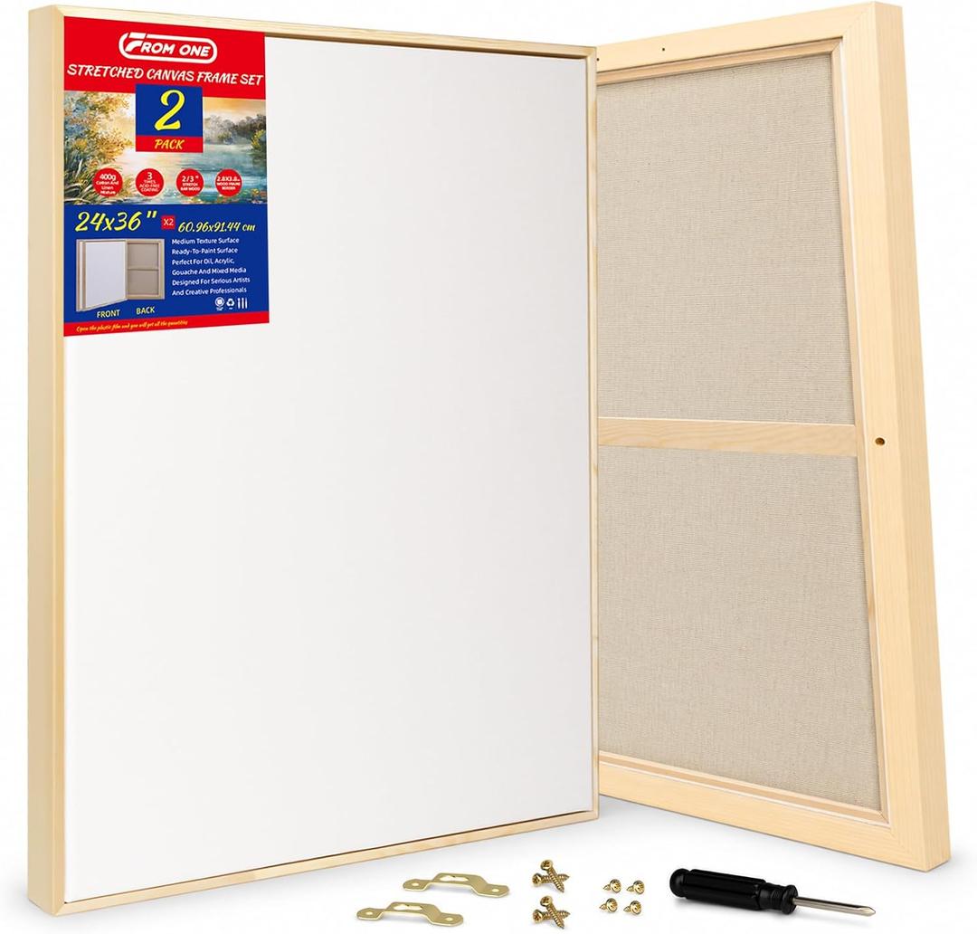 2 Pack 24 x 36 inch Floater Frame Canvas –Gallery Wrapped Canvas Set, 2pk-24x36 in
