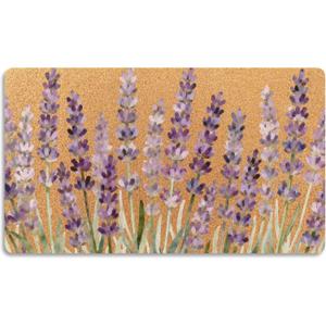 Spring Lavender Floral Door Mat Doormat for Front Door Outdoor Indoor, Farmhouse Purple Lavender Flower Welcome Mat Porch Rugs Outside Entrance, 17x30 Inches