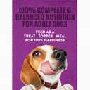 Purina Moist and Meaty Dog Food Chopped Burger Soft Dog Food Pouches - 36 ct. Pouch Best By 03/31/27