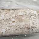 Madane Washable 6x9 Area Rugs for Living Room, Vintage Natural Rug with Non-Slip Backing, Soft Stain Resistant Throw Rugs Thin Carpet for Bedroom Dining Room Farmhouse (6 x 9, Beige/Brown)