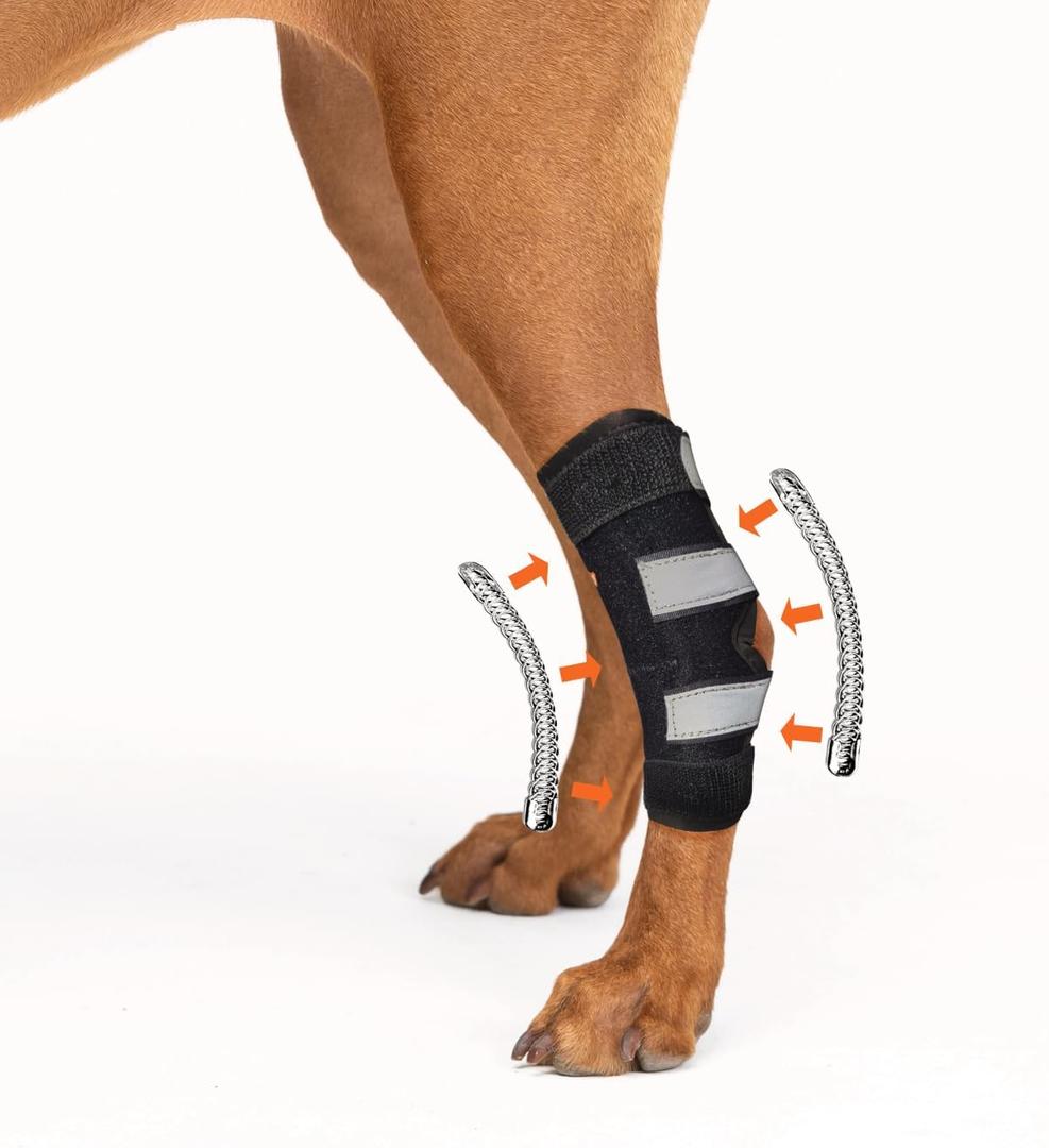 NeoAlly - Rear Leg Hock Brace with Metal Spring Strips, Dog Leg Brace for Rear Leg, Hock & Ankle Support, Rear Dog Leg Brace for Large Dogs, Long. (Left Leg, Large)